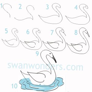 step-by-step-process-to-draw-a-swan-with-the-number-2