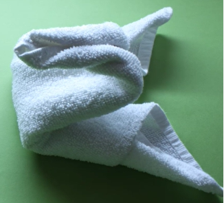 How To Make A Swan Out Of A Towel