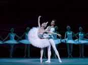 A Review of The Swan Lake songs